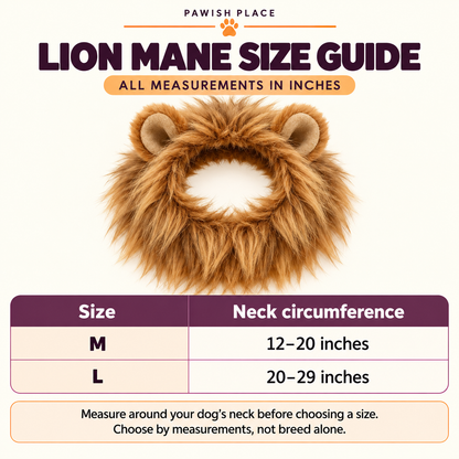 Lion Mane Dog Costume